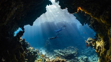 Divers