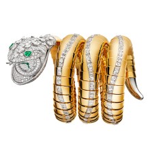 Serpenti Misteriosi Dragone