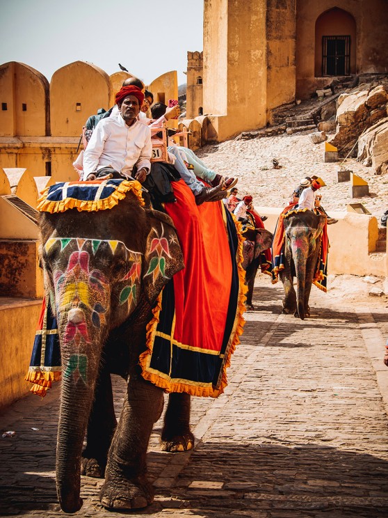 Jaipur, Rajasthan © Jeet Dhanoa/Unsplash