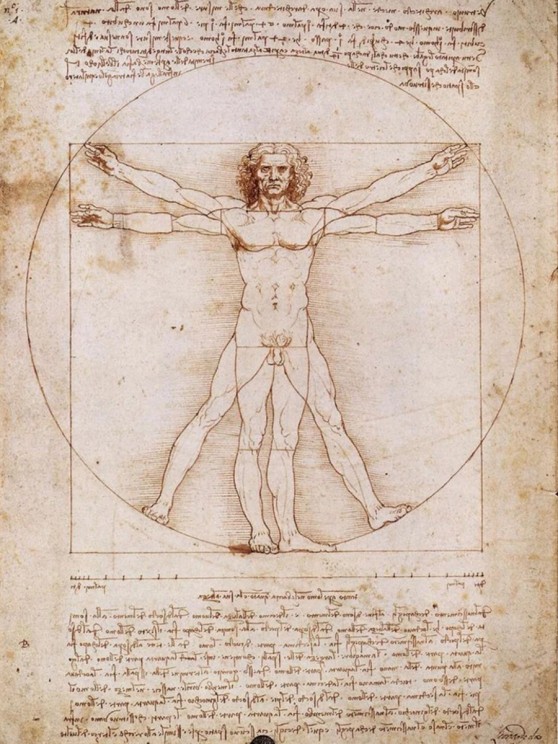 Vitruvian Man © Leonardo Da vinci